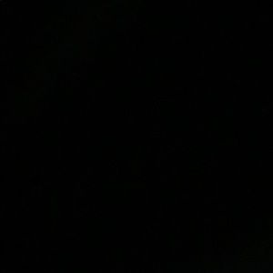 Meet your Posher, Brayden